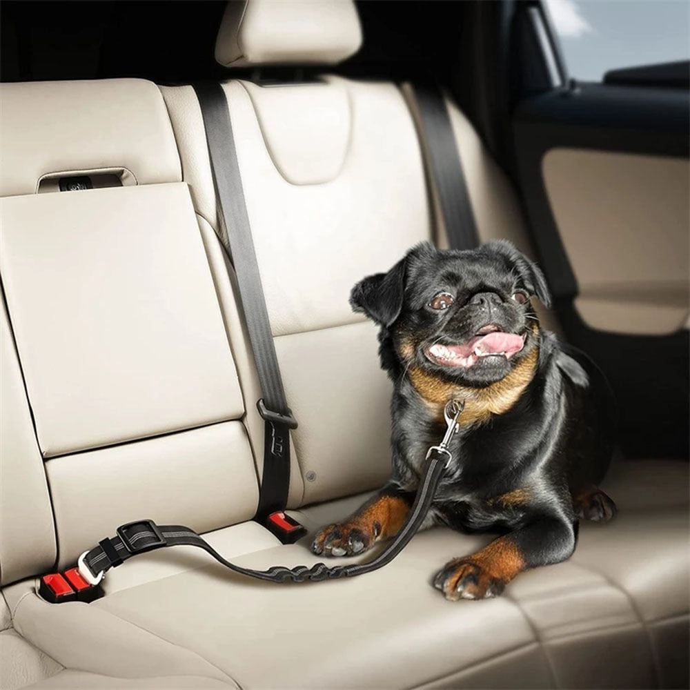 Adjustable Pet Seatbelt Harness With Bungee