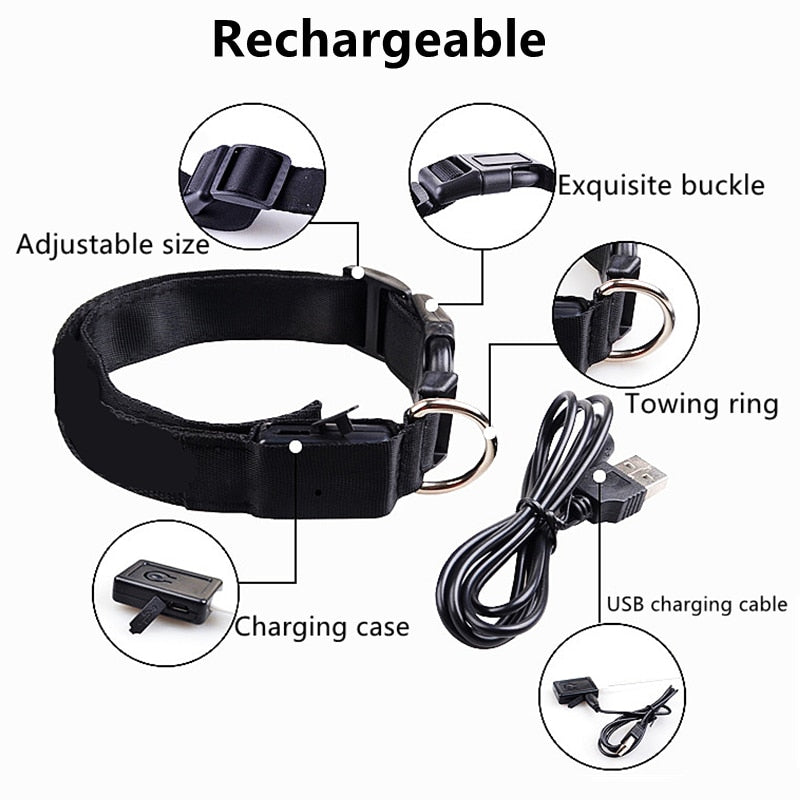 LED Glowing Dog Collar - Adjustable Flashing USB Rechargeable