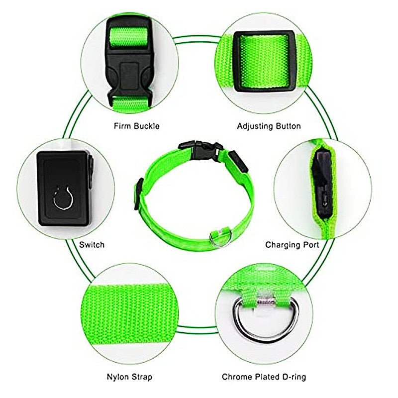 LED Glowing Dog Collar - Adjustable Flashing USB Rechargeable