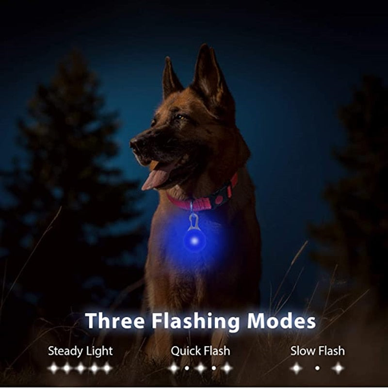 LED Rechargeable Luminous Pet Collar Pendant