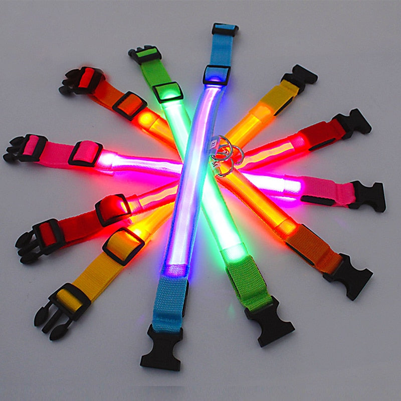 LED Glowing Dog Collar - Adjustable Flashing USB Rechargeable